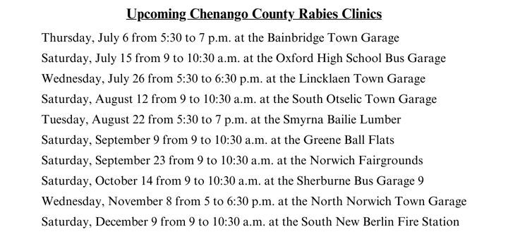 Protect Your Pet Against Rabies At Chenango County Clinics